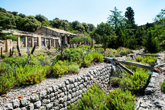 Former female prison on the island of Croatia - Grgur, Europe.