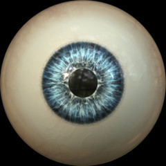 eye