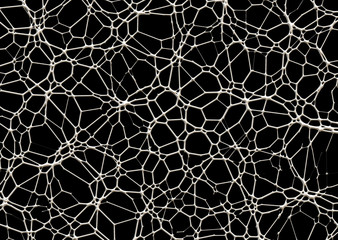 abstract  web background