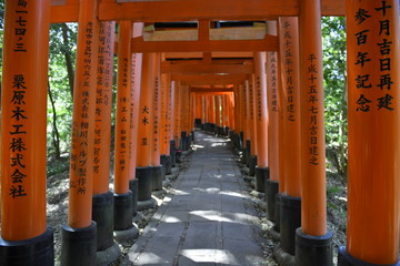 Obraz premium Red torii gates walkway, Fushimi Inari Shrine, Kyoto, Japan
