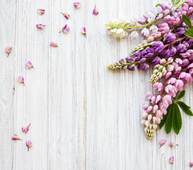 Pink  lupine flowers