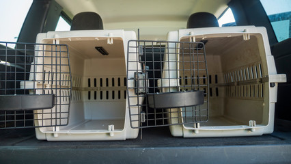 Cages for transportation of pets with open doors are in the trunk of a car