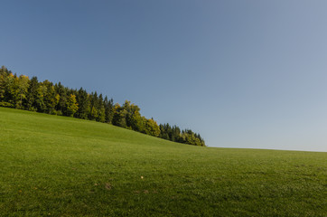 gruene huegel und baeume