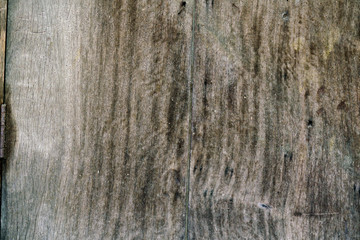 Old & grunge wood texture background