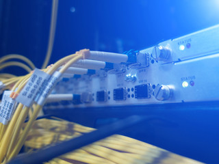 Close up fiber optic in server room , network cables installed in the rack.