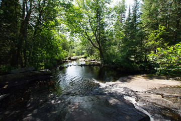 Obraz premium Nature du parc national de la Mauricie au Québec