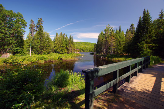 Nature du parc national de la Mauricie au Qu&eacute;bec