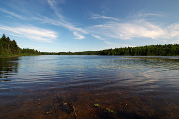 Nature du parc national de la Mauricie au Québec