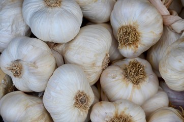 A pile of garlic bulbs