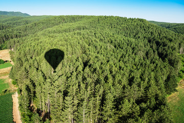 Balloon flight above the green forest, shadow of the hot air balloon flying in the sky.