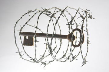 Old big key blocked by barbed wire. Isolated on gray background. Studio Shot.