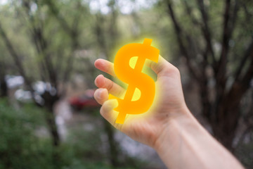 hand holding dollar sign, money income concept