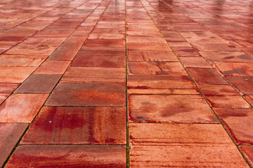 Old pavement slabs in red with a bloody tint, copy space