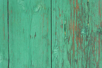 Fototapeta na wymiar Wooden background with green peeling paint, copy space, vintage