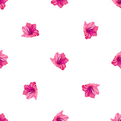Hibiscus pattern. Tropic palm leaf. Seamless background