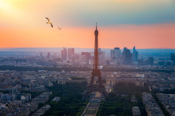 Obraz premium View of Paris with Eiffel Tower from Montparnasse building. Eiffel tower view with flying birds from Montparnasse at sunset, view of the Eiffel Tower and La Defense district in Paris, France.