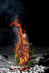 Christmas Tree Fire burn flame
