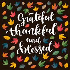 Grateful, thankful and blessed. Thanksgiving quote. Fall modern calligraphic hand drawn greeting card with scatterev colorful flat autumn falling leaves. Autumn colored artwork, print in vector
