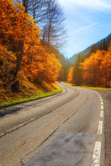 Fototapeta premium Autumn forest. Beautiful forest with country road at sunset. Colorful landscape with trees, rural road, orange and red leaves, sun. Travel. Autumn background. Amazing forest with vibrant foliage