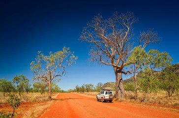 Outback track with 4WD vehicle and boab tree at the dry season with blue sky at the Kimberleys - Western Australia