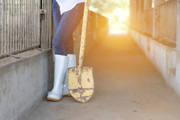Young farmer with shovel working in in organic farm pig with sunshine effect. Agriculture and livestock industry