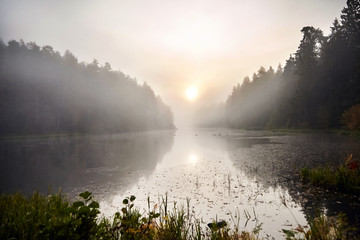 Rising sun in the morning fog. Dawn over the forest lake. Foggy sunrise. Reflections of trees in the water