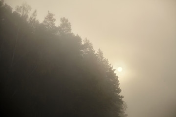 Rising sun in the morning fog. Haze in the sky. Dawn over the coniferous forest. Foggy sunrise