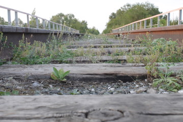 bridge over the river