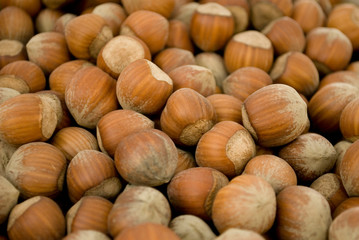 group of hazelnuts, ripe, fresh, brown, at local vegetable market, dried fruit typical of Piedmont, agriculture, food, diet, vitamins, nourishment, summer, Milan, Italy