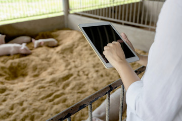 Hands of farmer using digital tablet in organic rural farm agricultural. Agriculture industry