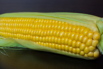 Corn. Ears of ripe sweet corn in leaves on a dark wooden background.