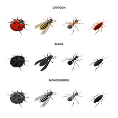 Vector illustration of nature and wildlife symbol. Set of nature and wing stock vector illustration.