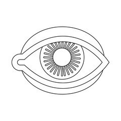 Vector illustration of eye and eyeball sign. Collection of eye and blue stock vector illustration.