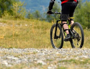 Naklejka premium Vététiste