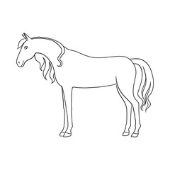 Obraz na płótnie Canvas Isolated object of horse and stand symbol. Set of horse and wildlife stock vector illustration.