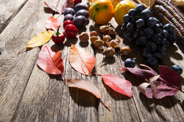 autumn fruits and vegetables on weathered wooden table background