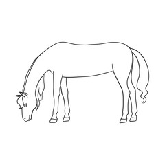 Vector illustration of horse and brown sign. Collection of horse and stand vector icon for stock.
