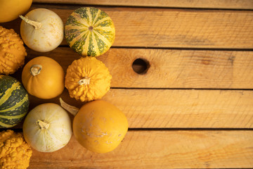 Diverse assortment of pumpkins on a wooden background. Autumn harvest...