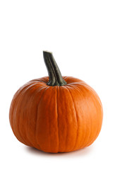 One orange pumpkin