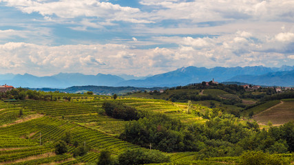 Stormy day in the vineyards of Brda, Slovenia