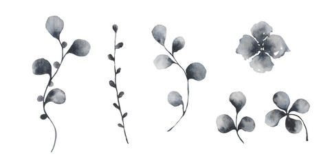  Watercolor set with gray vintage flowers, leaves and twigs. Ideal for cards and invitations.