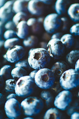 Fresh Blueberries Straight from the Farmers Market