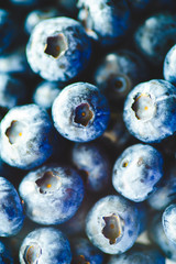 Fresh Blueberries Straight from the Farmers Market