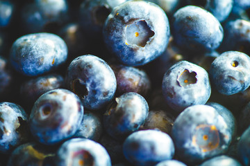 Fresh Blueberries Straight from the Farmers Market