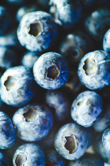 Fresh Blueberries Straight from the Farmers Market