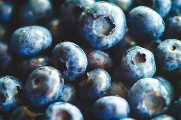 Fresh Blueberries Straight from the Farmers Market