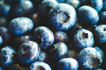 Fresh Blueberries Straight from the Farmers Market