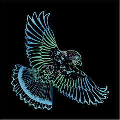 Gradient color drawing of an eagle. Bird in flight