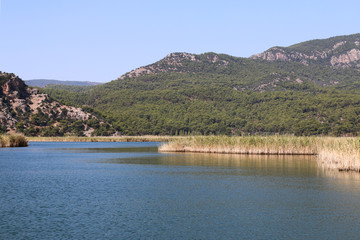 Views from Dalyan Türkiye Köyceğiz lake boat tour