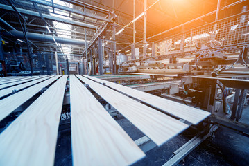 Production line of the wooden floor factory. CNC automatic woodworking machine.